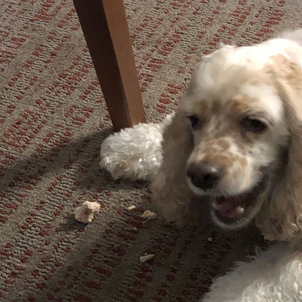 Meet your Posher, Lois